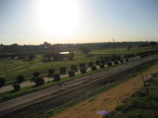 img_0313.jpg