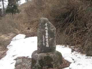 img_3579.jpg