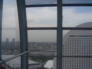 p8210011.jpg