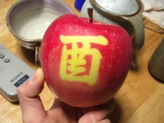 ヨタの日々 05 01