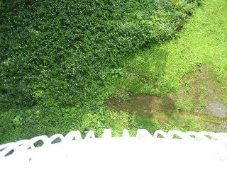 img_0751.jpg