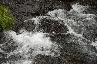 img_0383.jpg